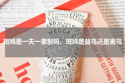 斑鸠是一夫一妻制吗，斑鸠是益鸟还是害鸟