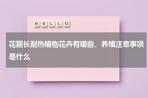 花期长耐热植物花卉有哪些，养殖注意事项是什么