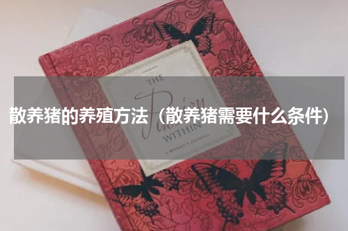 散养猪的养殖方法（散养猪需要什么条件）