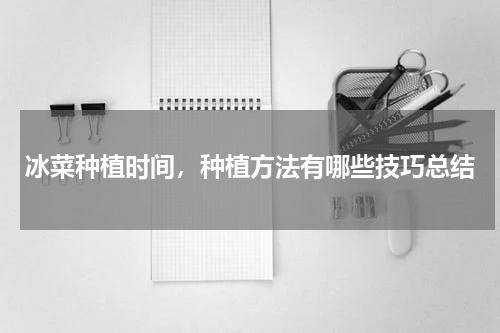冰菜种植时间，种植方法有哪些技巧总结