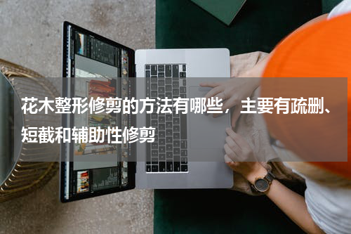 花木整形修剪的方法有哪些，主要有疏删、短截和辅助性修剪