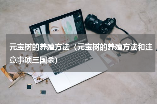 元宝树的养殖方法（元宝树的养殖方法和注意事项三国杀）
