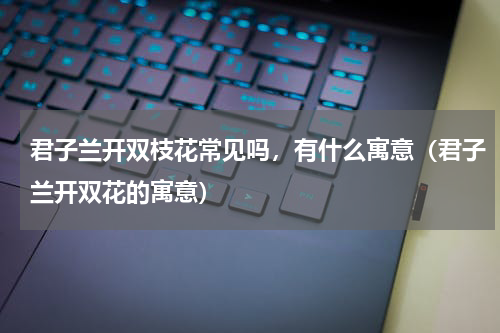 君子兰开双枝花常见吗，有什么寓意（君子兰开双花的寓意）
