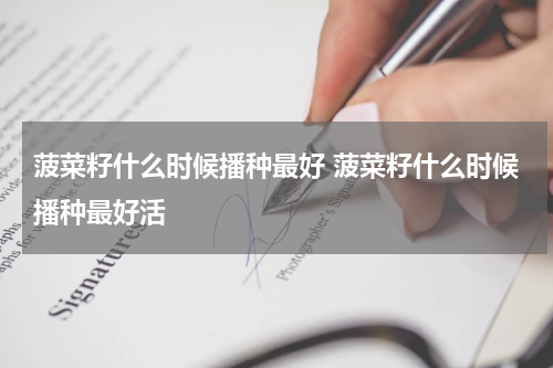 菠菜籽什么时候播种最好 菠菜籽什么时候播种最好活