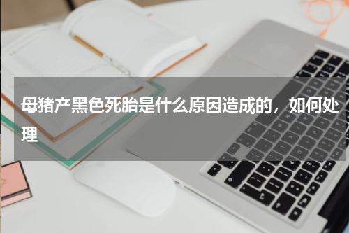 母猪产黑色死胎是什么原因造成的，如何处理