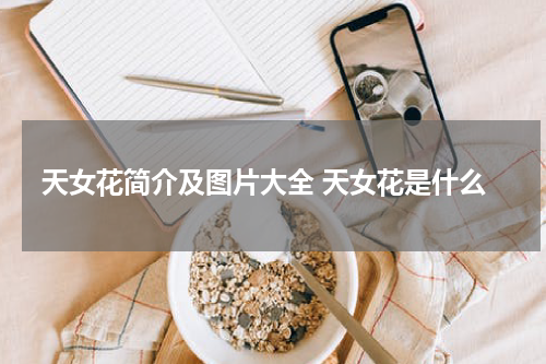 天女花简介及图片大全 天女花是什么