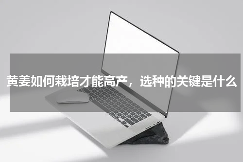 黄姜如何栽培才能高产，选种的关键是什么