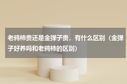 老鸦柿贵还是金弹子贵，有什么区别（金弹子好养吗和老鸦柿的区别）