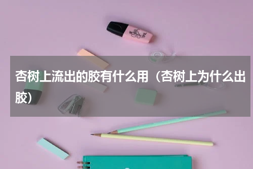 杏树上流出的胶有什么用（杏树上为什么出胶）