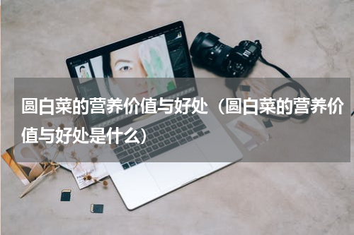 圆白菜的营养价值与好处（圆白菜的营养价值与好处是什么）