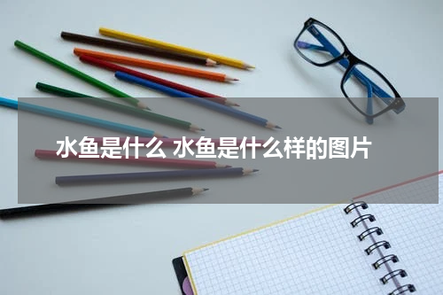 水鱼是什么 水鱼是什么样的图片