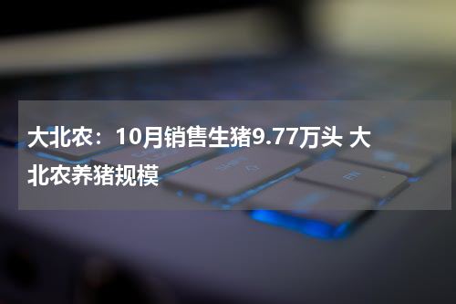 大北农：10月销售生猪9.77万头 大北农养猪规模