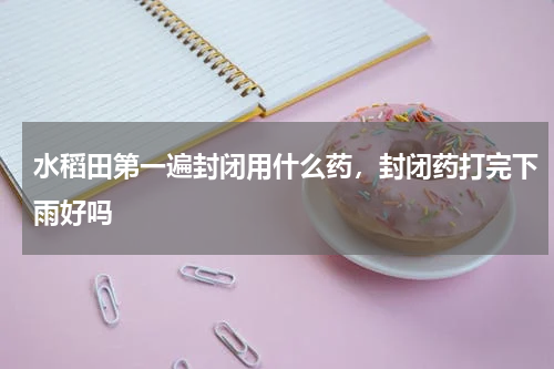 水稻田第一遍封闭用什么药，封闭药打完下雨好吗