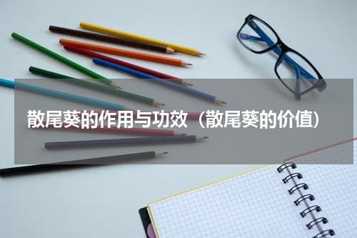 散尾葵的作用与功效（散尾葵的价值）