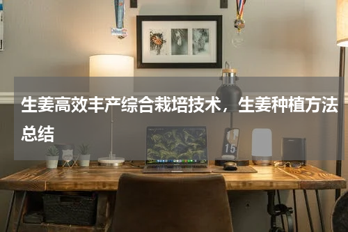 生姜高效丰产综合栽培技术，生姜种植方法总结