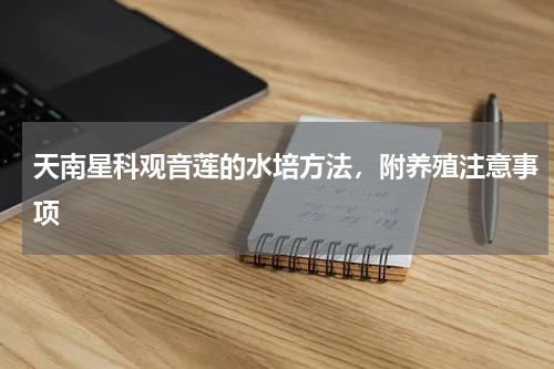 天南星科观音莲的水培方法，附养殖注意事项