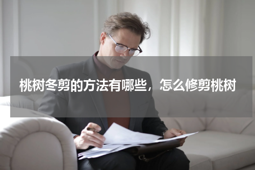 桃树冬剪的方法有哪些，怎么修剪桃树