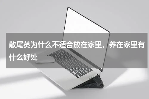 散尾葵为什么不适合放在家里，养在家里有什么好处