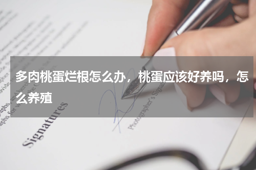 多肉桃蛋烂根怎么办，桃蛋应该好养吗，怎么养殖