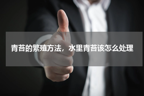 青苔的繁殖方法，水里青苔该怎么处理