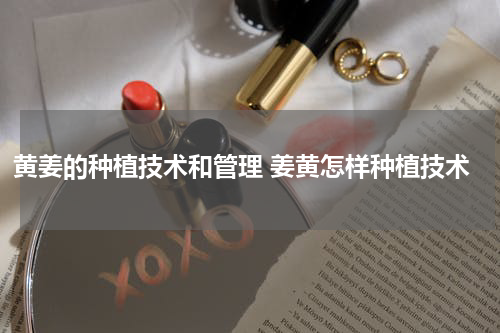 黄姜的种植技术和管理 姜黄怎样种植技术