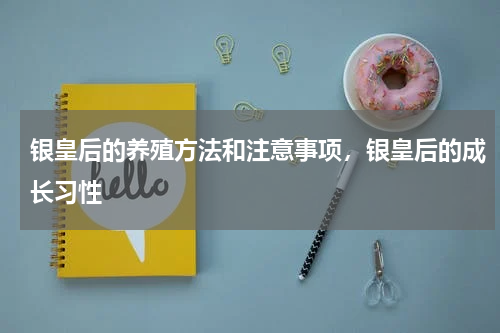 银皇后的养殖方法和注意事项，银皇后的成长习性