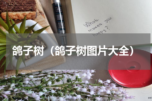鸽子树（鸽子树图片大全）