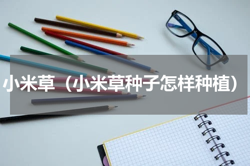 小米草（小米草种子怎样种植）