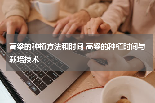 高粱的种植方法和时间 高粱的种植时间与栽培技术