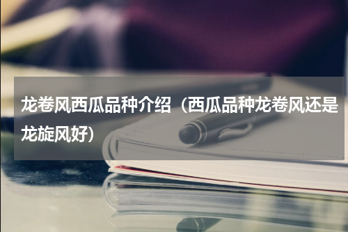 龙卷风西瓜品种介绍（西瓜品种龙卷风还是龙旋风好）