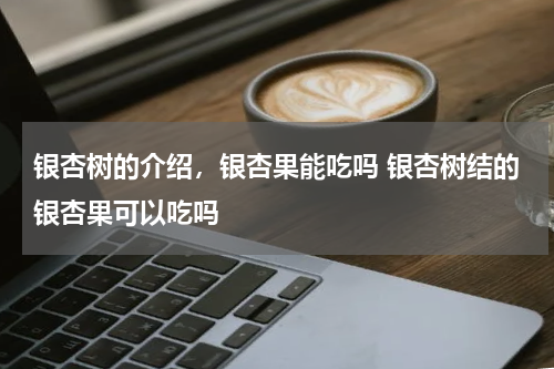 银杏树的介绍，银杏果能吃吗 银杏树结的银杏果可以吃吗