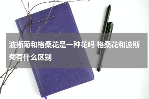 波斯菊和格桑花是一种花吗 格桑花和波斯菊有什么区别