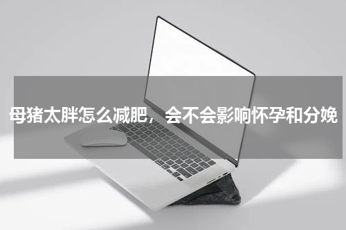 母猪太胖怎么减肥，会不会影响怀孕和分娩