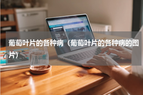葡萄叶片的各种病（葡萄叶片的各种病的图片）