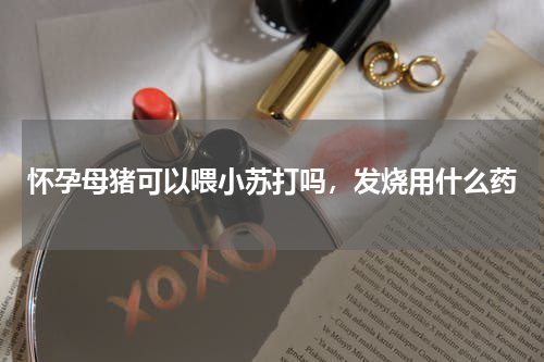 怀孕母猪可以喂小苏打吗，发烧用什么药