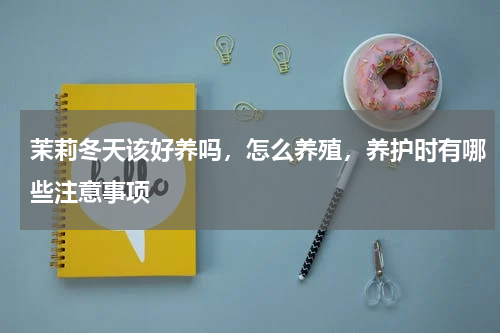 茉莉冬天该好养吗，怎么养殖，养护时有哪些注意事项