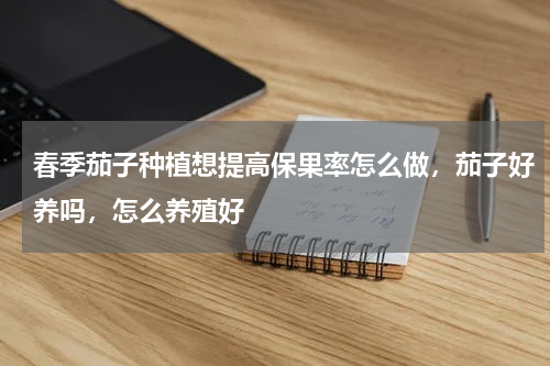 春季茄子种植想提高保果率怎么做，茄子好养吗，怎么养殖好