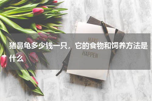猪鼻龟多少钱一只，它的食物和饲养方法是什么
