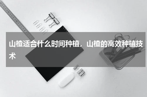 山楂适合什么时间种植，山楂的高效种植技术