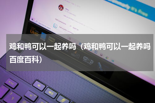 鸡和鸭可以一起养吗（鸡和鸭可以一起养吗百度百科）