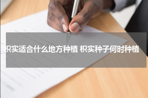 枳实适合什么地方种植 枳实种子何时种植