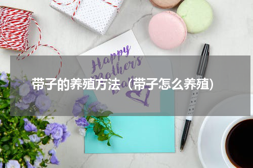 带子的养殖方法（带子怎么养殖）