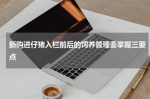 新购进仔猪入栏前后的饲养管理要掌握三要点