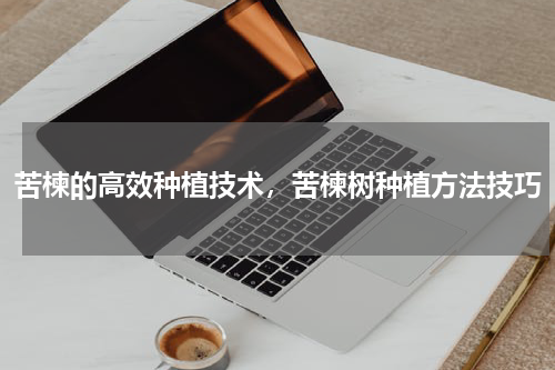苦楝的高效种植技术，苦楝树种植方法技巧