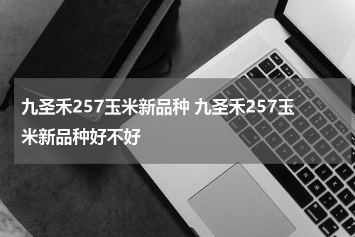 九圣禾257玉米新品种 九圣禾257玉米新品种好不好