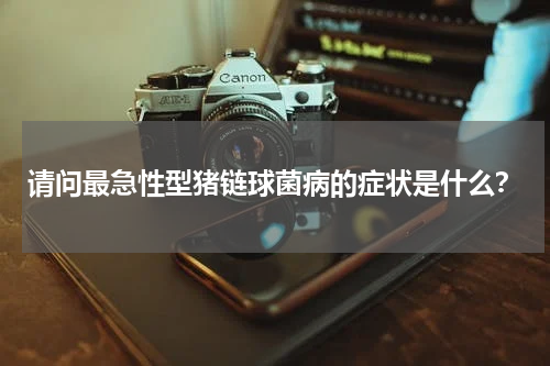 请问最急性型猪链球菌病的症状是什么？