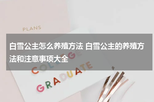 白雪公主怎么养殖方法 白雪公主的养殖方法和注意事项大全