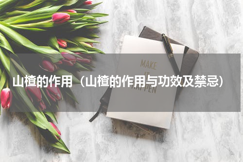 山楂的作用（山楂的作用与功效及禁忌）