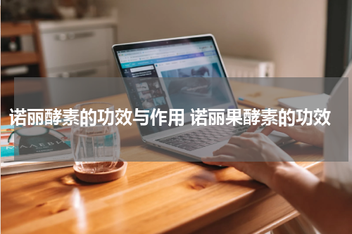 诺丽酵素的功效与作用 诺丽果酵素的功效