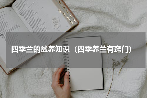 四季兰的盆养知识（四季养兰有窍门）